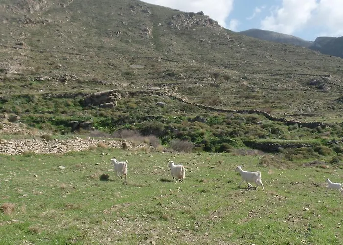 Paros Apartments Cottage Feriehus Páros
